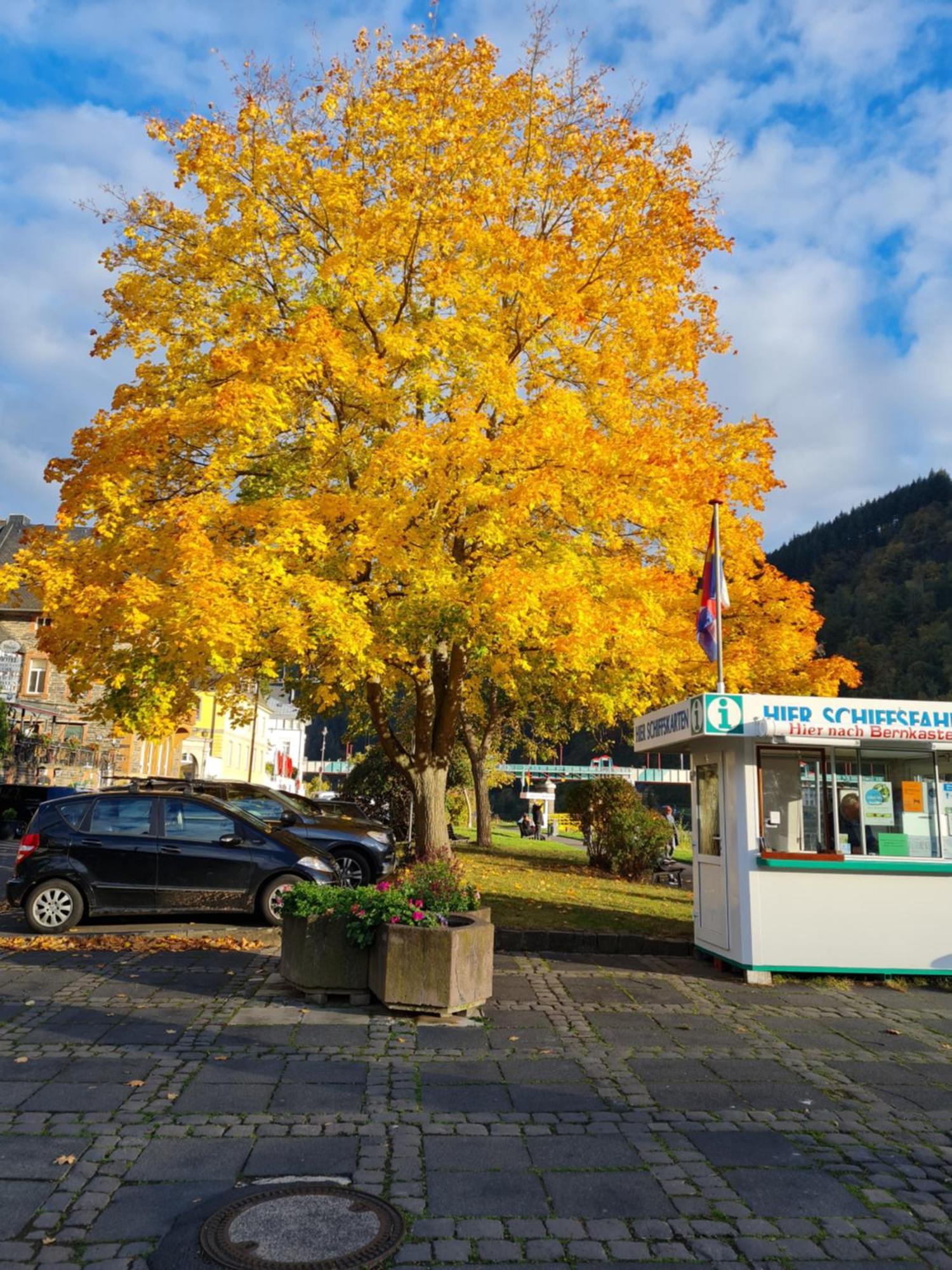 Ferienhaus Take It Easy Villa Traben-Trarbach Dış mekan fotoğraf